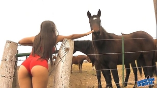 The hawt slutwife horse whisperer - excellent body latin chick! 10 butt!